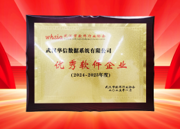 喜讯丨DB真人旗舰 DB数据获评2024~2025年度武汉市软件行业&ldquo;优秀企业&rdquo;、&ldquo;优秀工作者&rdquo;荣誉称号！